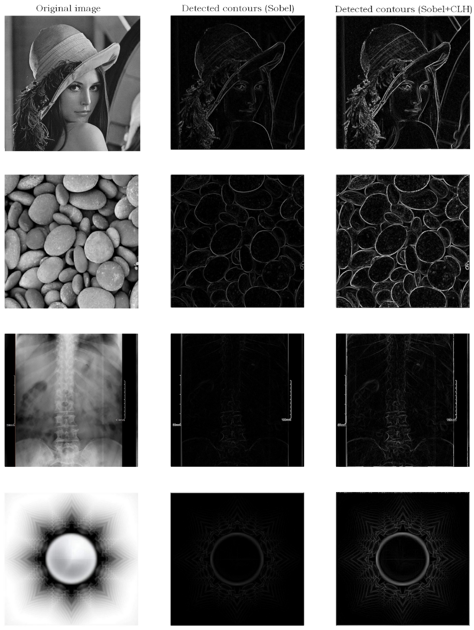 Imagen en blanco y negro

Descripcin generada automticamente con confianza media