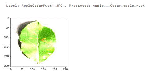 A green leaf with a white background

Description automatically generated