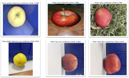 Une image contenant Aliments naturels, fruit, produits, nourriture

Description générée automatiquement